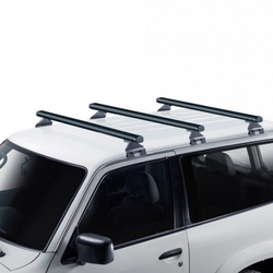 Střešní nosič Citroën Jumpy 16-, Cruz Alu Cargo Dark